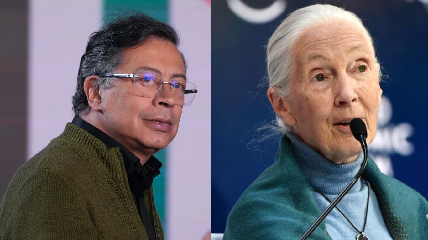 Presidente Gustavo Petro y  Jane Goodall, pionera en el estudio de los chimpancés.
