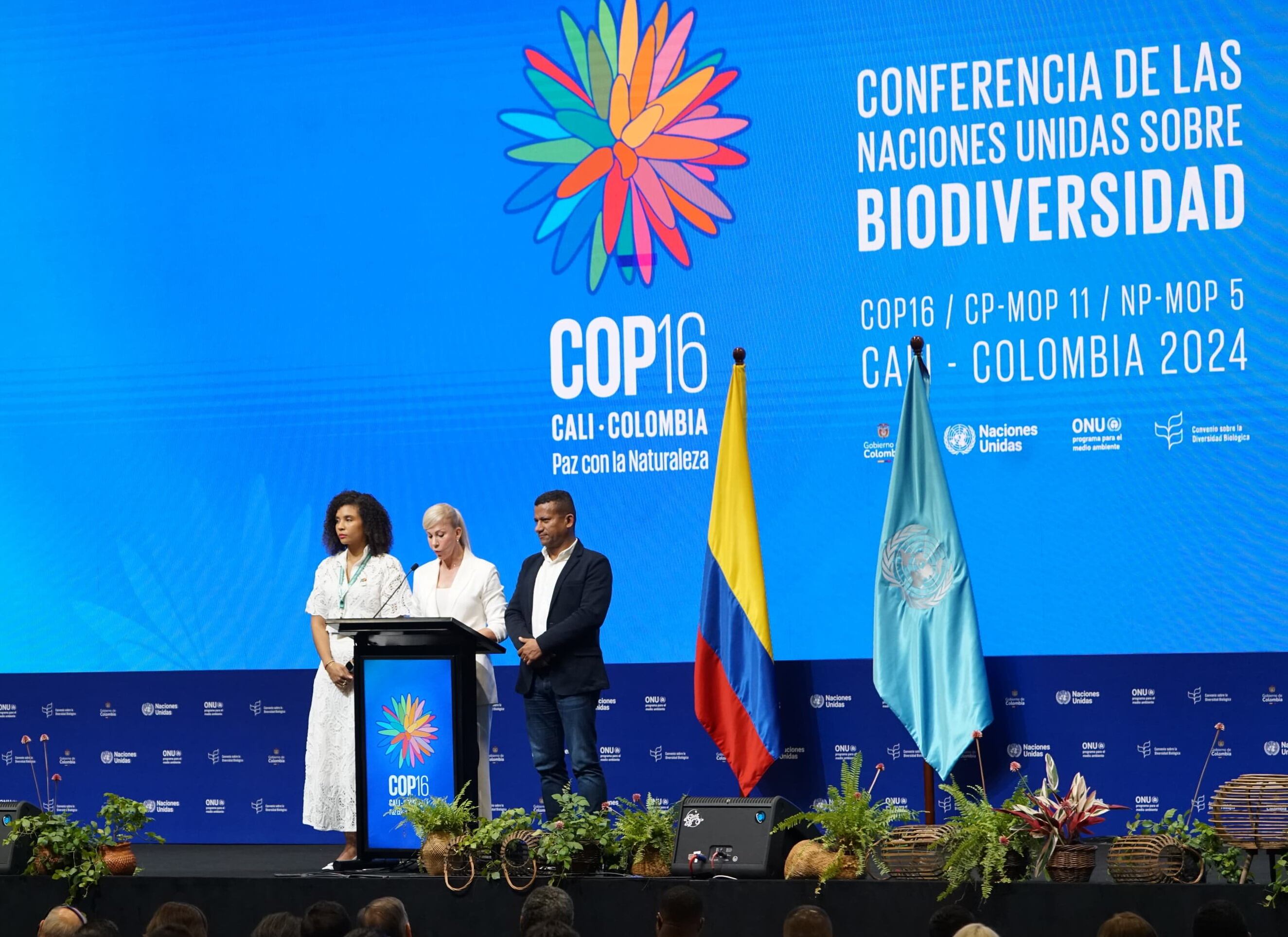 Inauguración Cop 16 Cali
