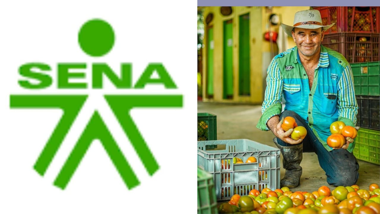 El SENA impulsa “Zajuna Campo”, una estrategia que conecta a productores rurales con nuevos espacios de comercialización directa en el país.