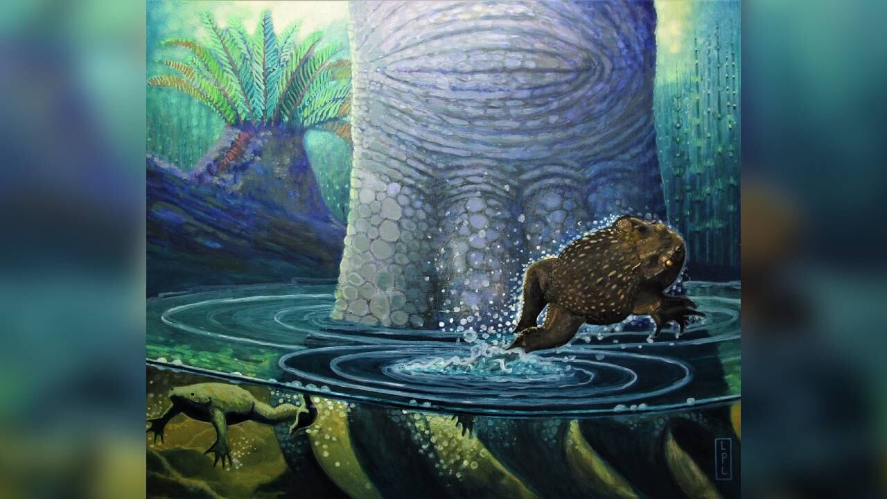 Las especies de ranas vivieron hace 70 millones de años en la Patagonia. Foto: Twitter @uchiel.