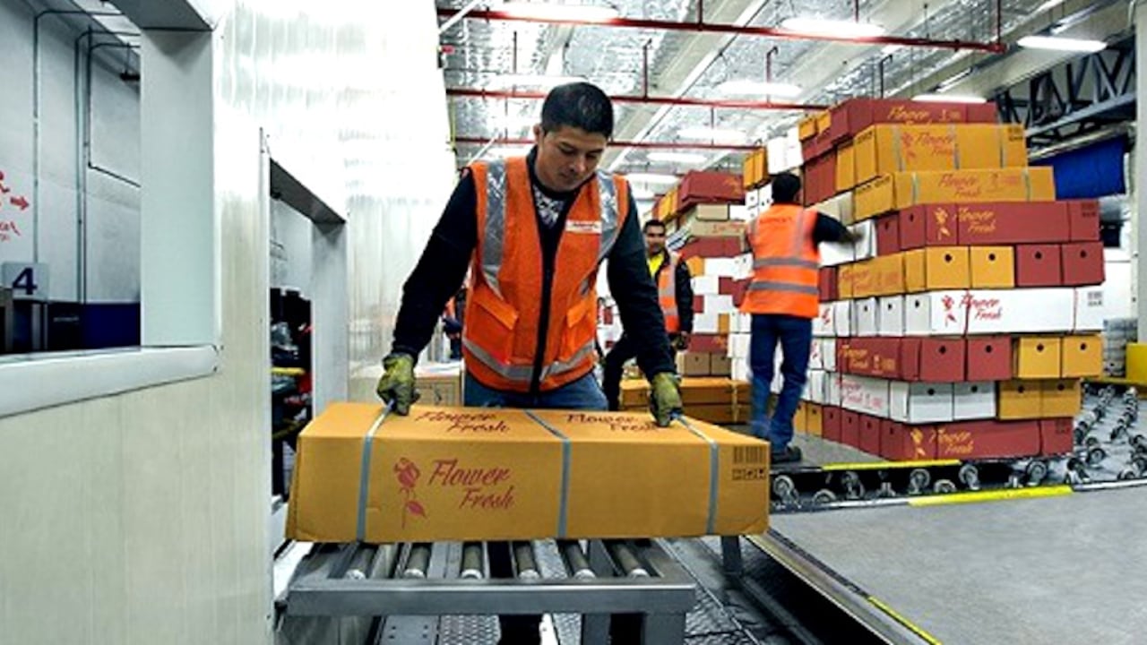 Avianca Cargo operó 171 vuelos de flor desde Bogotá, Medellín y Quito con destino Miami y 5 vuelos chárter con destino a Los Ángeles y San Juan, Puerto Rico, aumentando sus frecuencias o vuelos en un 43% con respecto a la temporada del año pasado.