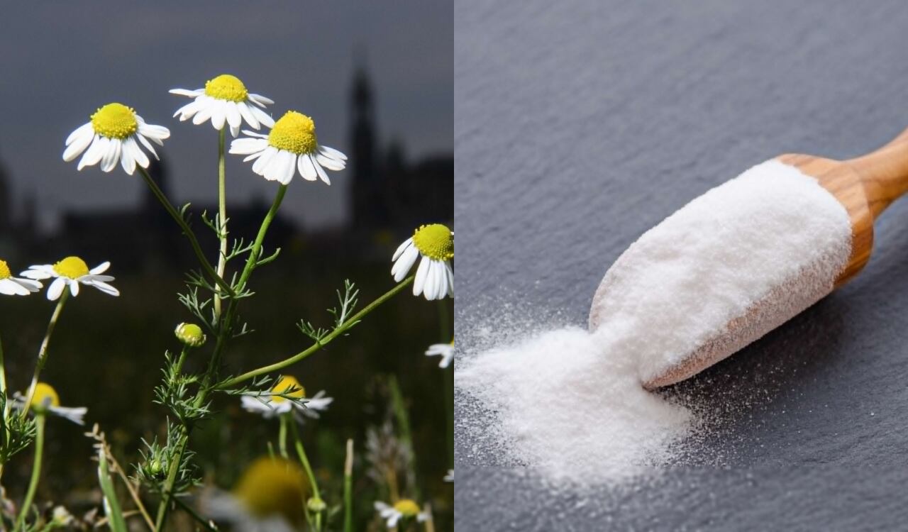 Manzanilla, bicarbonato de sodio