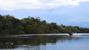 NO USAR, USO EXCLUSIVO MEJOR COLOMBIA, Especial Mejor Colombia, Mercado Guainía