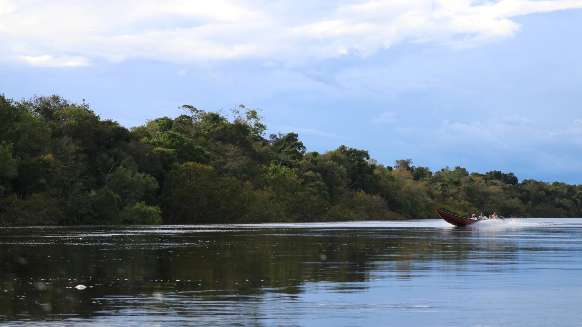 NO USAR, USO EXCLUSIVO MEJOR COLOMBIA, Especial Mejor Colombia, Mercado Guainía