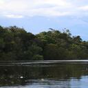 NO USAR, USO EXCLUSIVO MEJOR COLOMBIA, Especial Mejor Colombia, Mercado Guainía