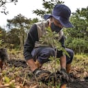 Siembra de árboles de Fundación Coca-Cola por CAEM, en la reserva La Poma, al sur de Bogotá.