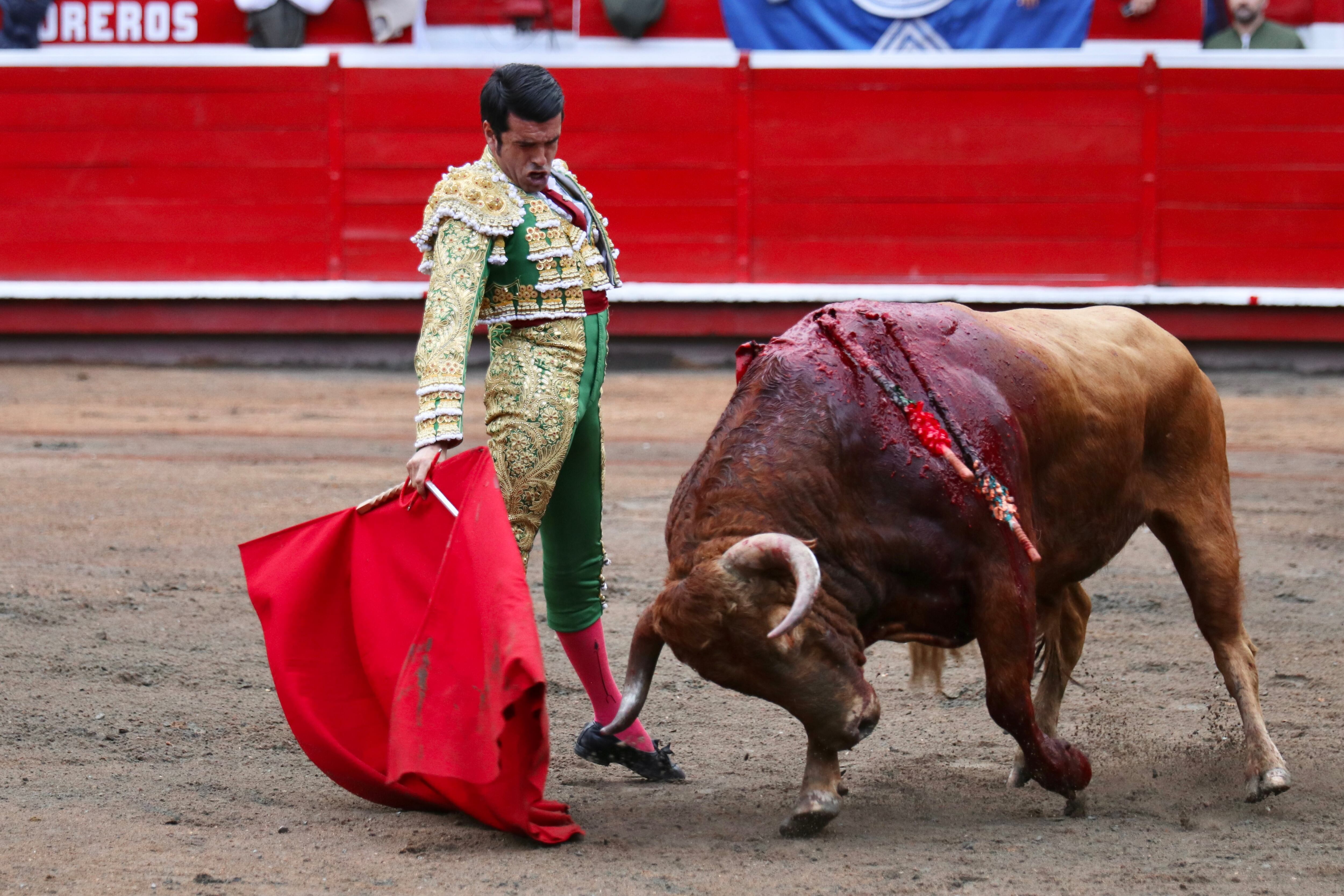 El torero español Emilio de Justo, lidiando a Panela, toro de la ganadería de las Ventas del Espíritu Santo, durante la 68.ª Temporada Taurina de Manizales.
