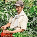 La pesca y el café son los dos subsectores con mayores decrecimientos al tercer trimestre de 2021. En el caso del grano, la menor producción ha impedido aprovechar los precios máximos que hay hoy.