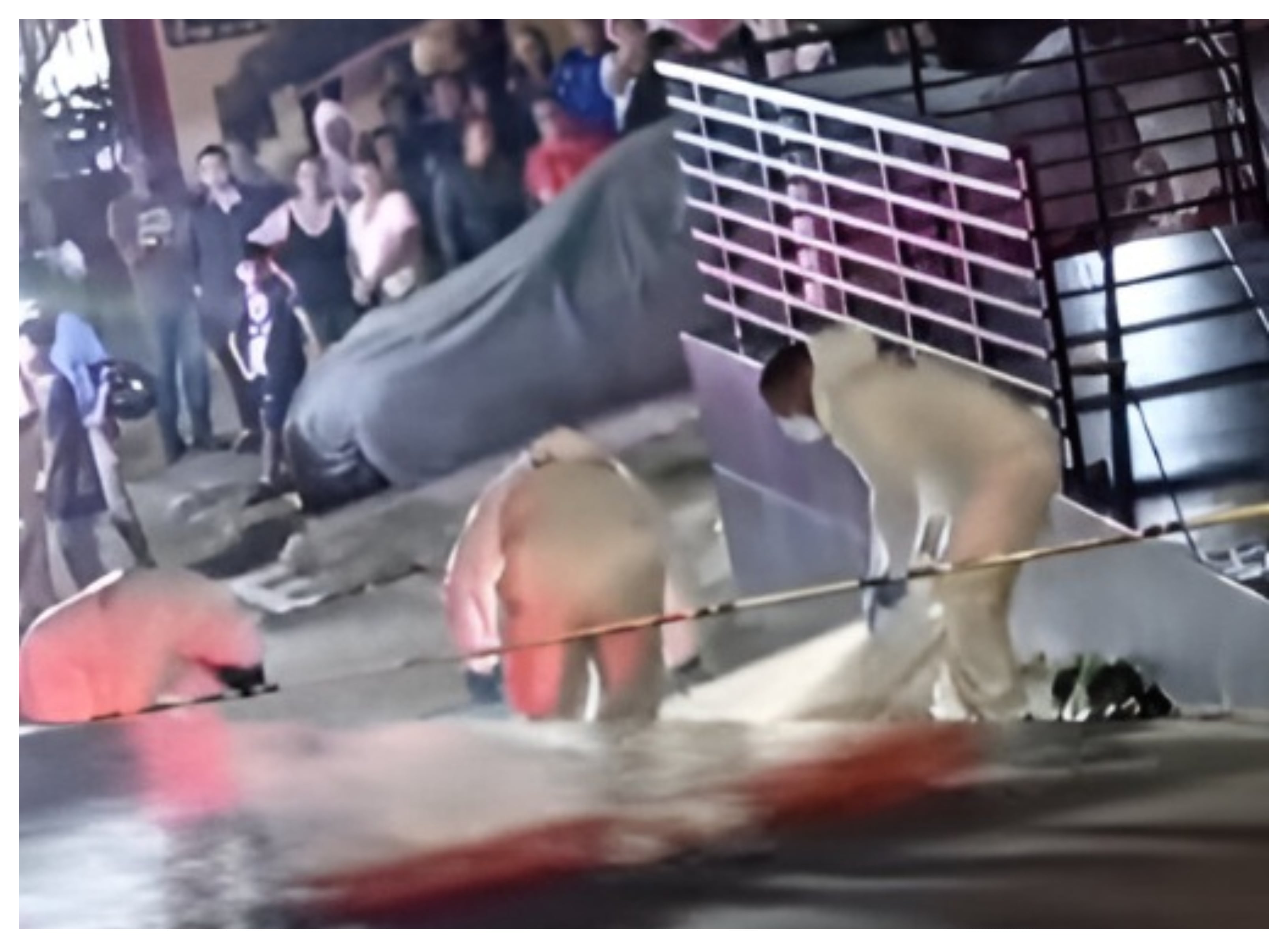 Miguel Ángel Alzate Quintero, conocido como alias Chucha, asesinado en Pereira en una presunta guerra de prestamistas gota a gota.