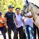 Animales rescatados.