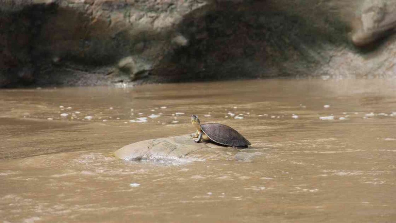 La Corporación Autónoma Regional de Cundinamarca (CAR) presentó el primer libro sobre la historia del río Bogotá, Foto: Nicolás Acevedo