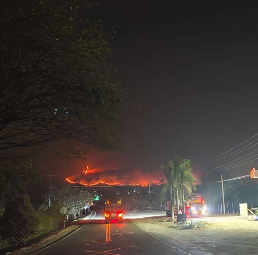 Incendio forestal en Palermo