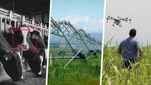 Esta transformación del campo ayuda a lograr los objetivos de desarrollo sostenible que plantea la ONU