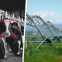 Esta transformación del campo ayuda a lograr los objetivos de desarrollo sostenible que plantea la ONU