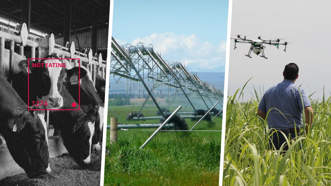 Esta transformación del campo ayuda a lograr los objetivos de desarrollo sostenible que plantea la ONU