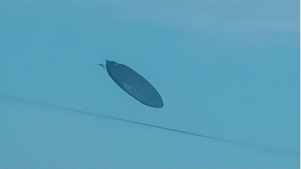 Una mujer captó con su celular el momento en que al parecer aparece un ovni en el cielo, que luego desaparece. Foto: Comuna San Pedro de Colalao