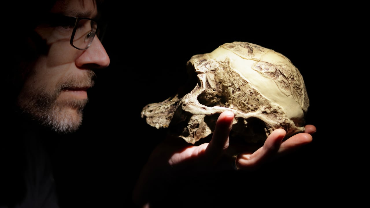 La investigación sobre los Australopithecus ofrece nuevas perspectivas sobre los factores que impulsaron los avances en la evolución de los humanos.