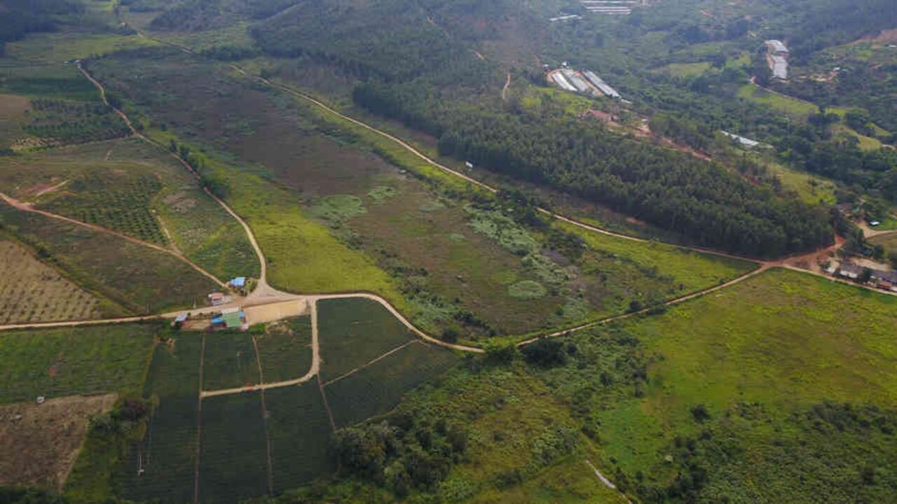 22.000 hectáreas de caña posicionan a Santander como el primer productor de panela del país.