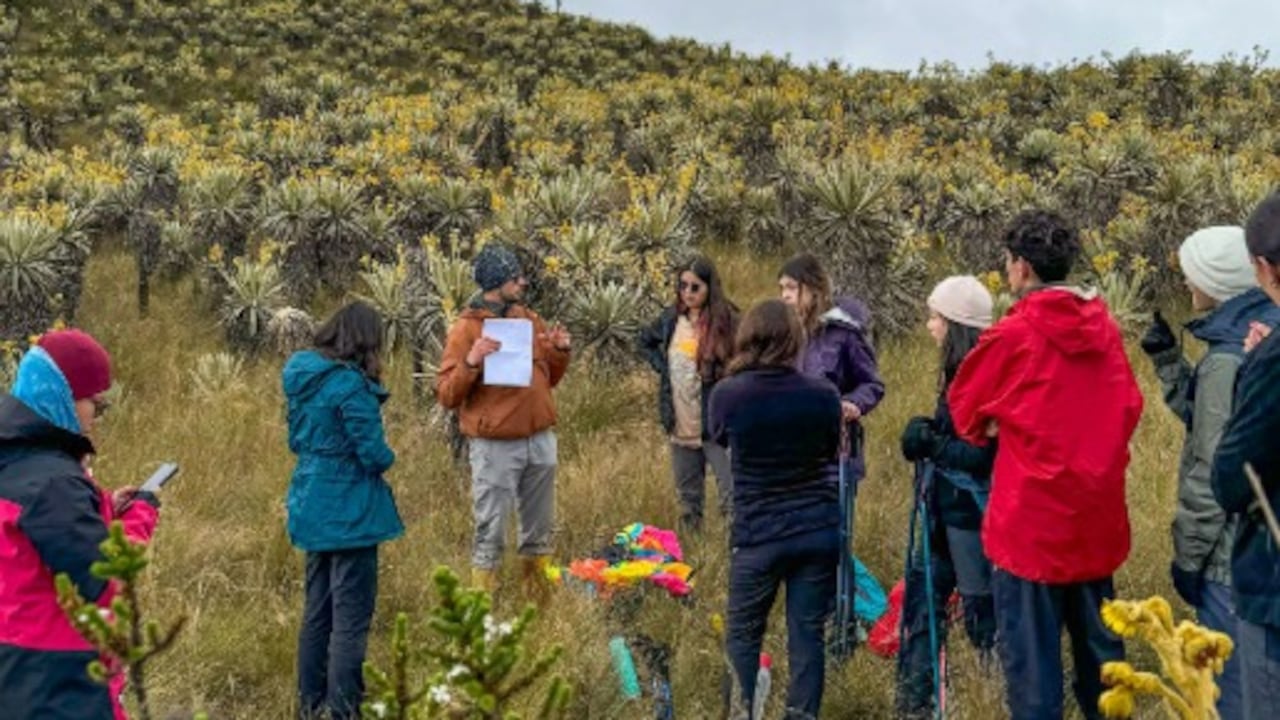 Kajuyalí School propone una alternativa pedagógica distinta.