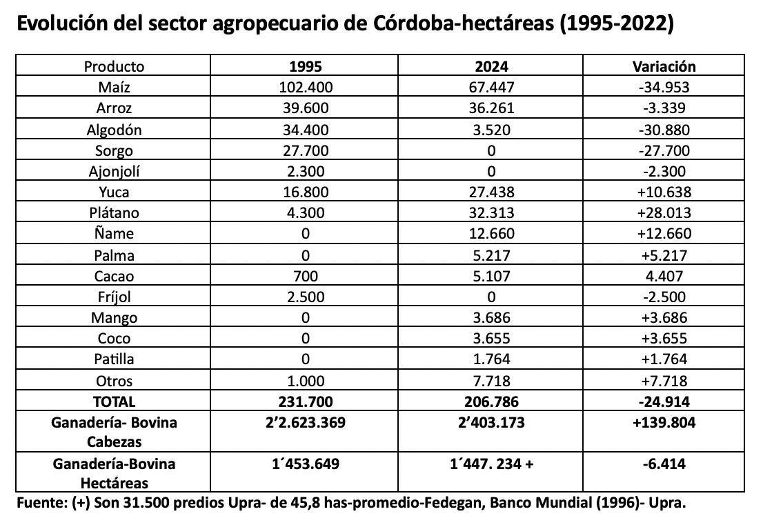 Columna inundaciones  Córdoba
