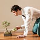 Cultivar la belleza en miniatura con los consejos para cuidar bonsáis en casa.