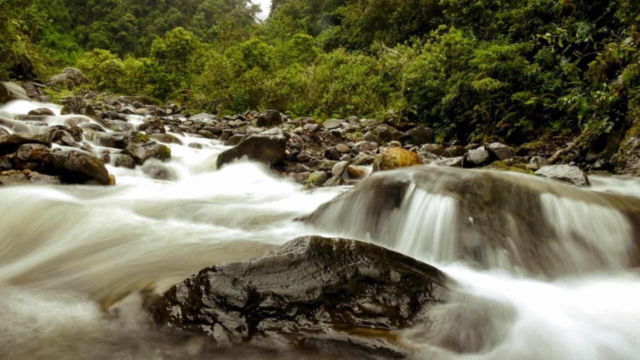 Preservar la biodiversidad es clave para tener un ambiente sano y saludable para el hombre. Foto del río Combeima (Cortolima).
