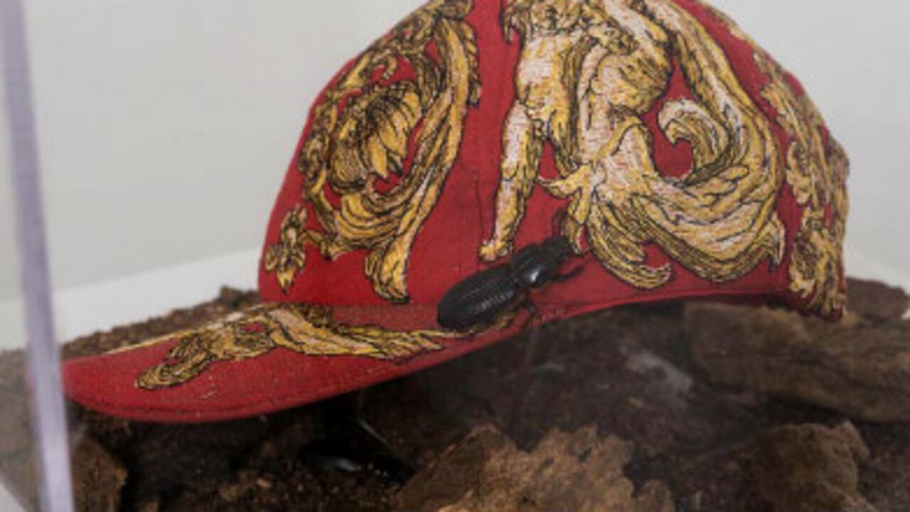 Echar por tierra, Eduard Moreno