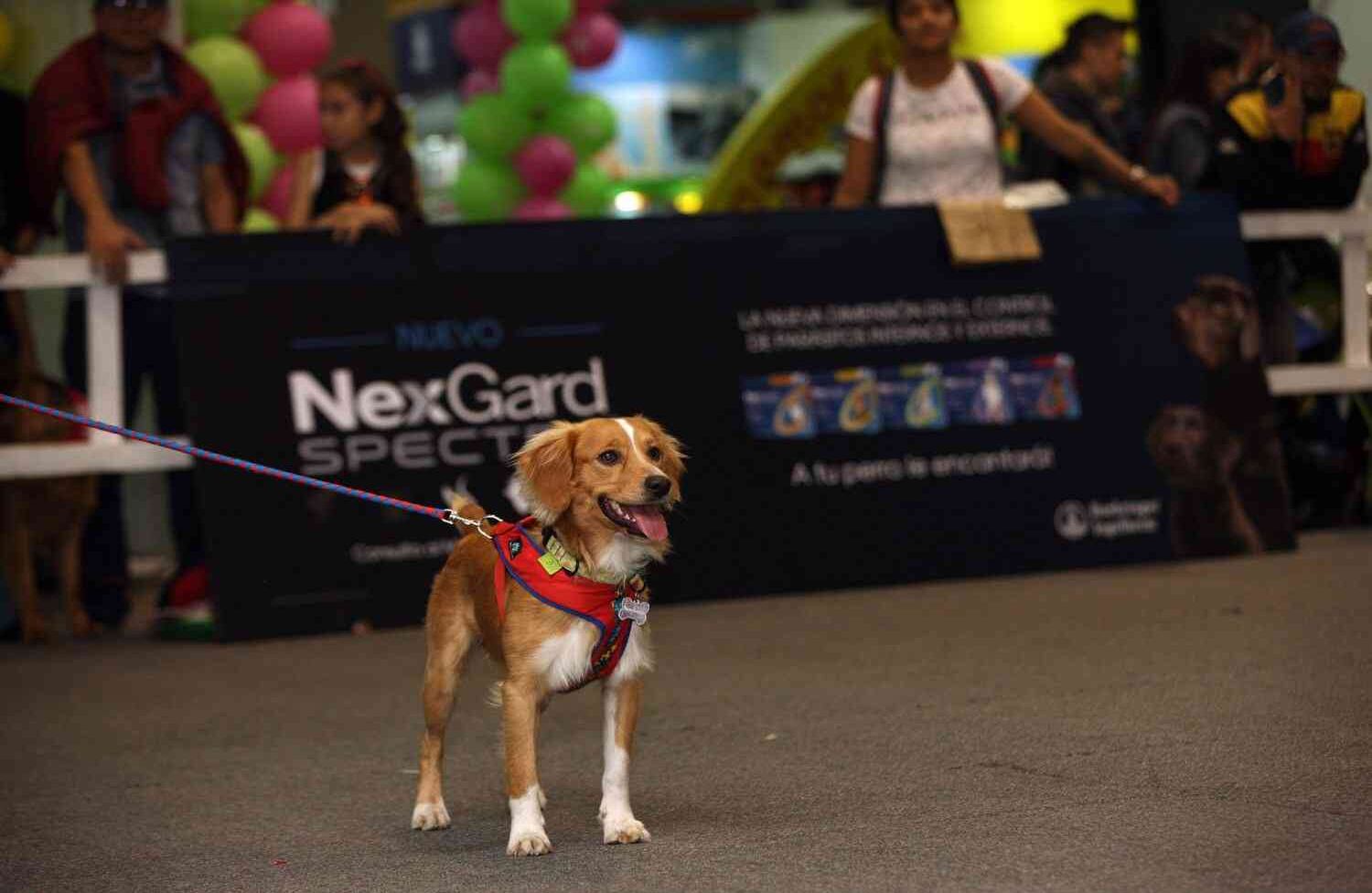 Foto: León Darío Peláez / SEMANA 