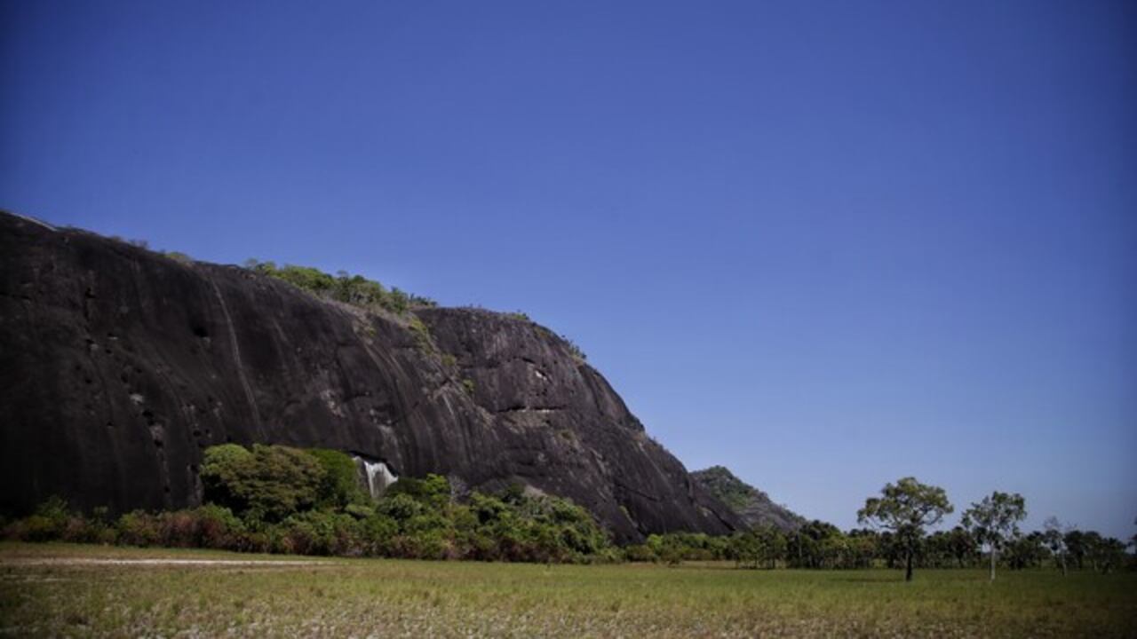 Vichada posee uno de los suelos más fértiles de la nación.