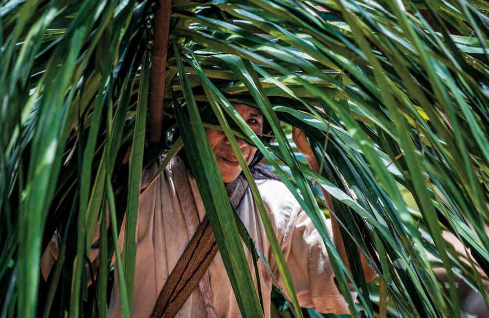 Para los indígenas kogui la naturaleza es la 'gran madre' que controla el universo. Sierra Nevada de Santa Marta.