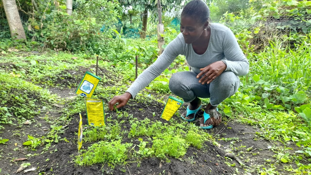 El programa Aldeas, de Procaña, ha impactado a 1659 familias y ha tenido una inversión cercana a 1700 millones de pesos.