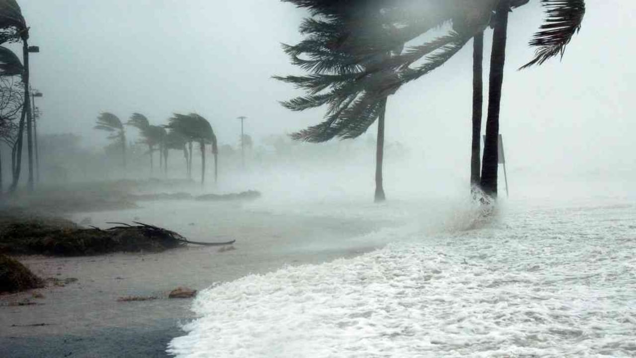 La temporada está prevista para iniciar este próximo 1 de junio