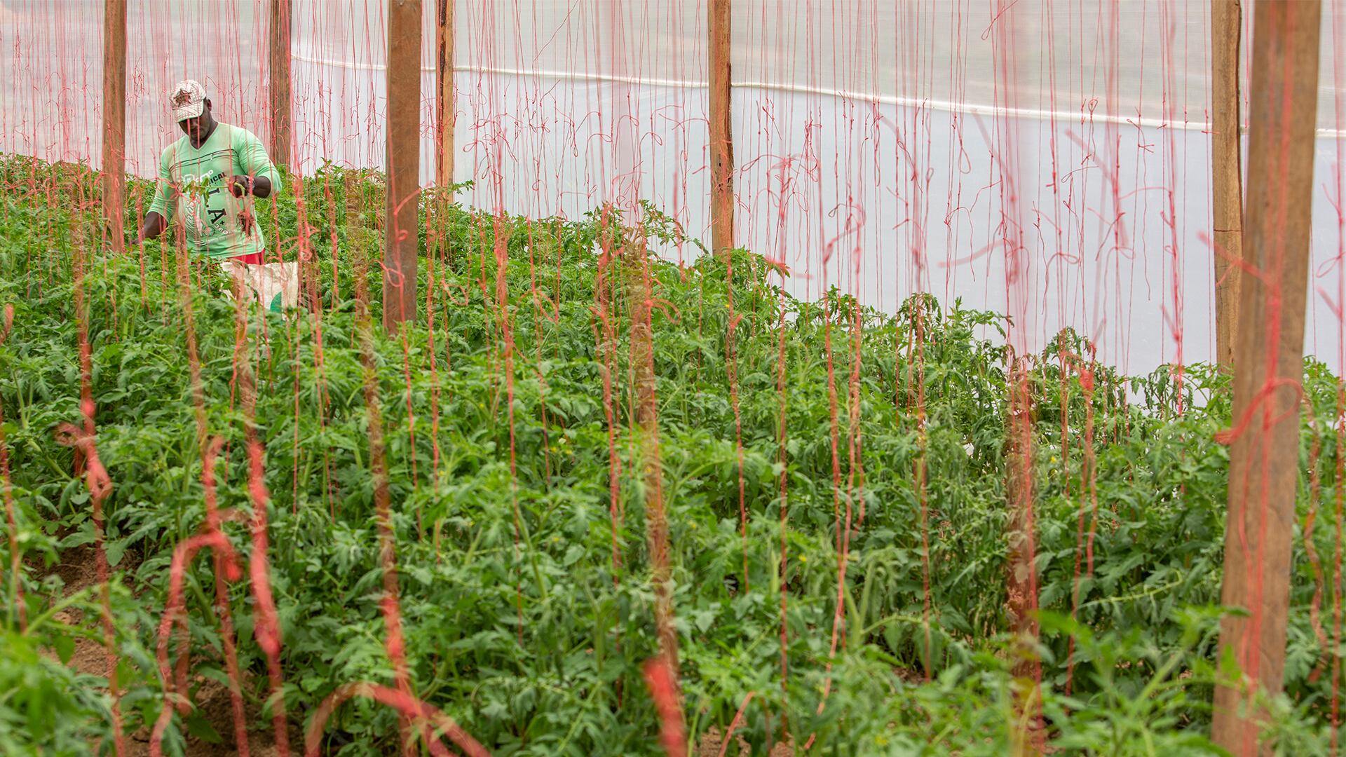 Minbambiente aseguró tener presente su compromiso con las zonas más afectadas por la tala, como Meta, Caquetá y Guaviare.