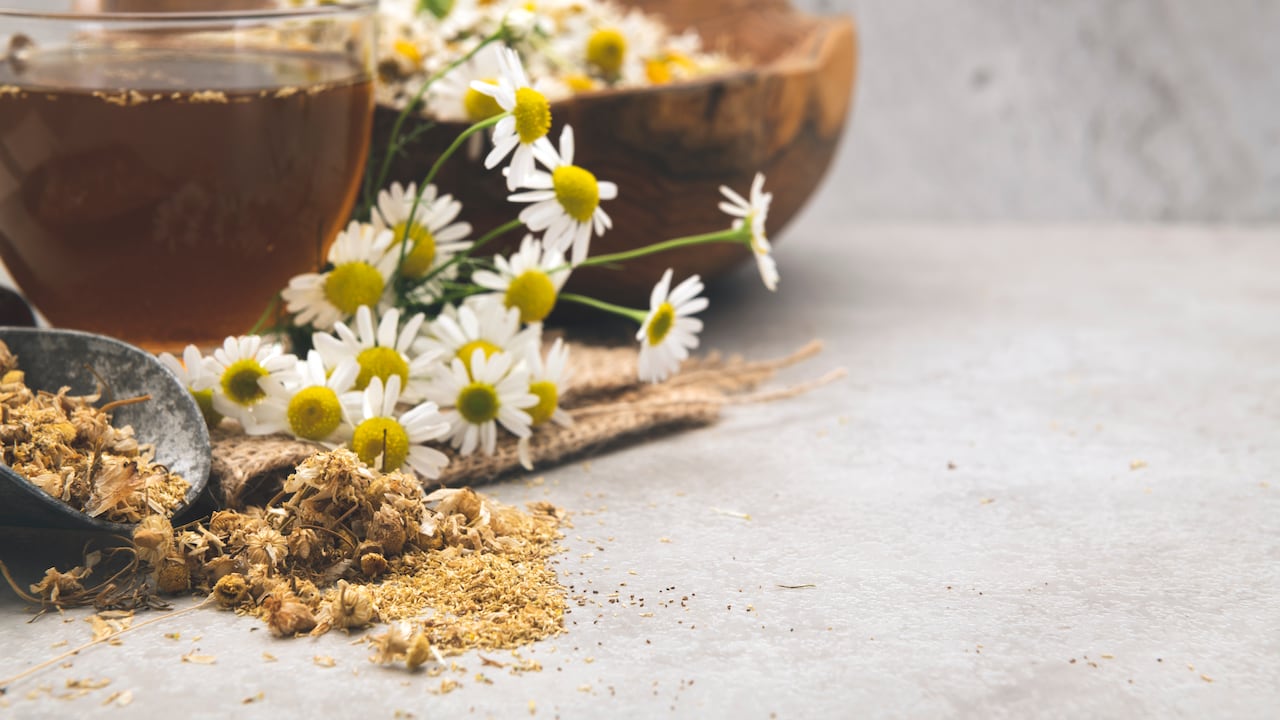 La manzanilla es una planta con aroma y sabor milenario. Foto: Getty Images