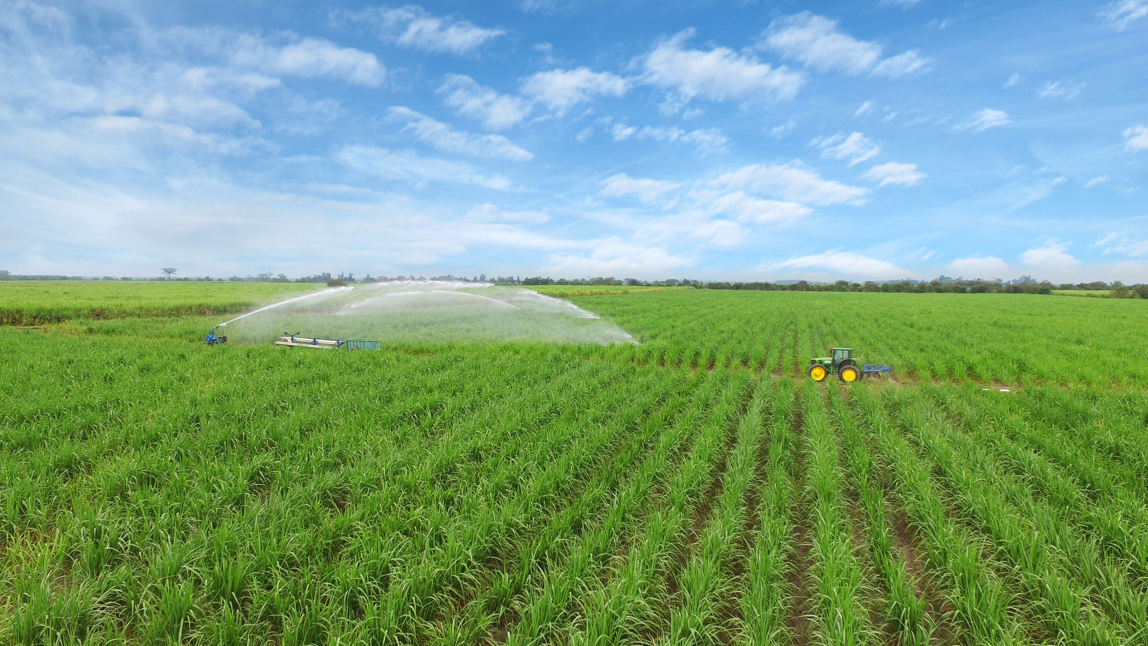 En Incauca, todo su proceso productivo se basa en un modelo de economía circular, que el año pasado permitió la producción de más de 92.000 toneladas de abono orgánico a partir de subproductos como la cachaza, vinaza, bagazo y ceniza.