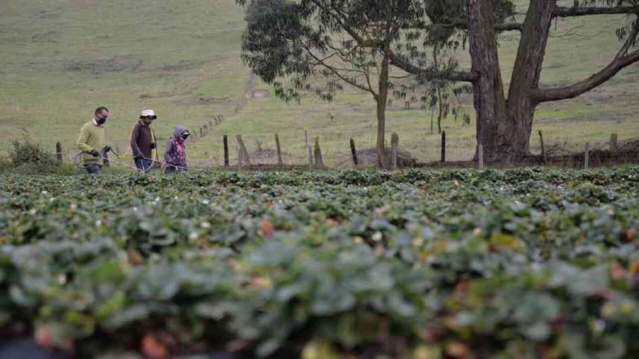 Las mediciones han estado cerca de la generación de heladas, lo que puede afectar la producción agropecuaria.
