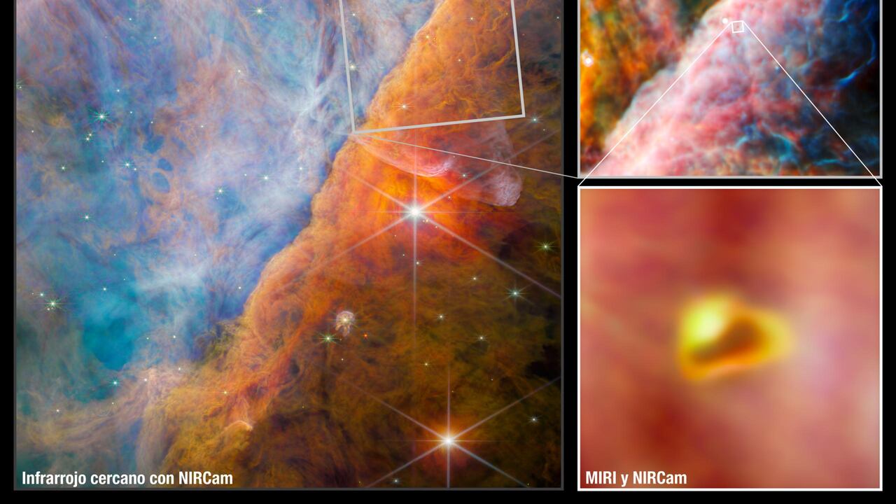 Estas imágenes de Webb muestran una parte de la nebulosa de Orión conocida como la Barra de Orión. La imagen más grande, a la izquierda, proviene del instrumento cámara de infrarrojo cercano (NIRCam) de Webb. Arriba a la derecha, el telescopio se enfoca en un área más pequeña utilizando el instrumento de infrarrojo medio (MIRI) de Webb. En el centro mismo del área observada con MIRI se encuentra un sistema estelar joven con un disco protoplanetario llamado d203-506. La ampliación de abajo a la derecha muestra una imagen combinada de NIRCam y MIRI de este joven sistema.