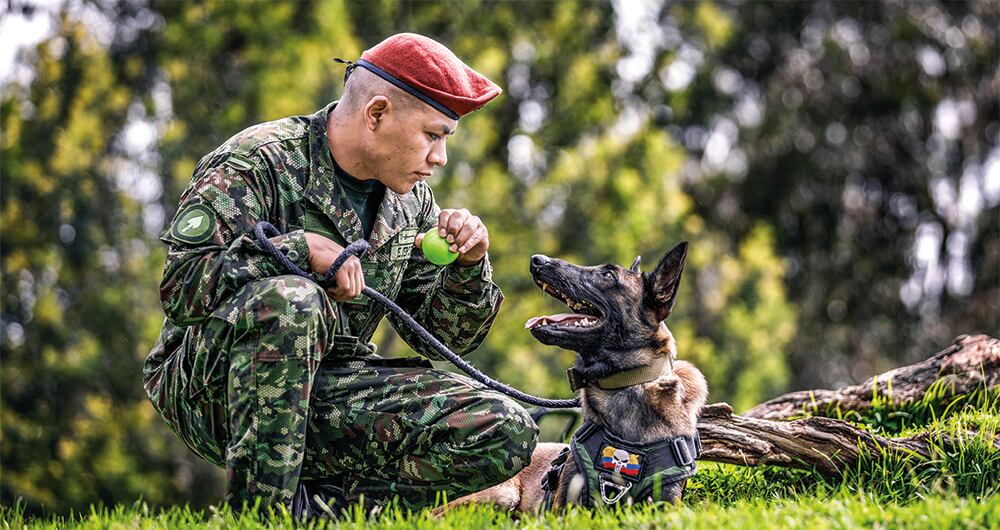 Este canino destacó en la misión Esperanza, y será su hermano quien continuará con su legado.