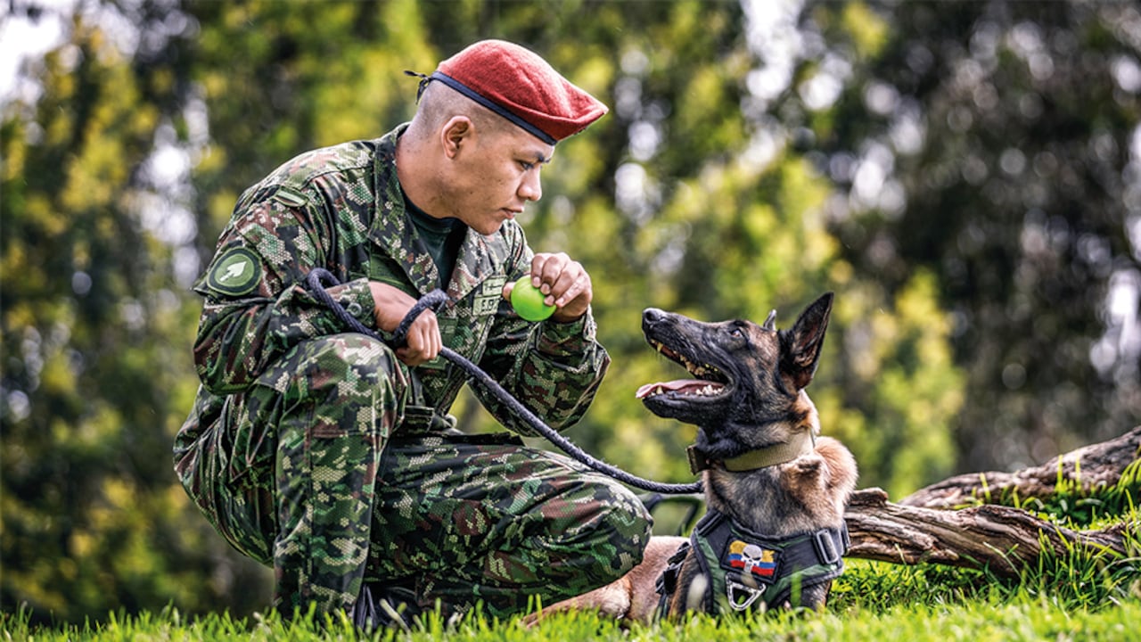 Con cuatro años en el Ejército y asignado al comando de operaciones especiales de las Fuerzas Militares, el soldado profesional Cristián David Lara ha vivido uno de los eventos más difíciles de su carrera militar: la pérdida de su compañero inseparable Wilson.