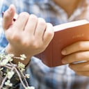 Human hand placed on the Bible, pray to God.