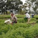 Regresar a nuestros ancestros, por Andrea Mejía.