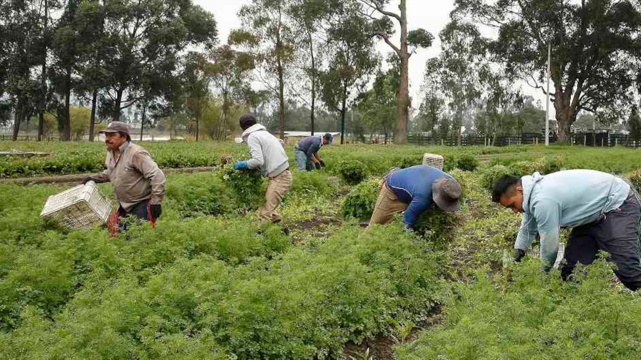 Regresar a nuestros ancestros, por Andrea Mejía.