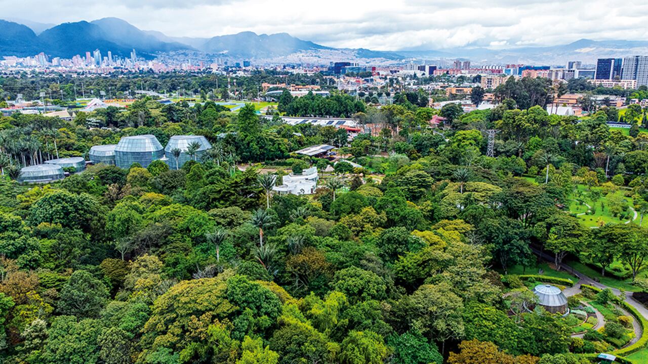 Jardín Botánico