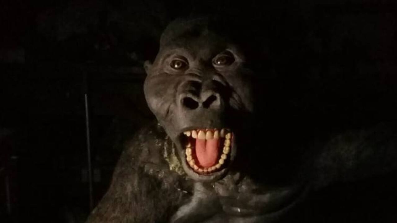 Viaje Ancestral contará con nueve especies humanas hiperrealistas que representan los orígenes de la humanidad. Foto: Comunika