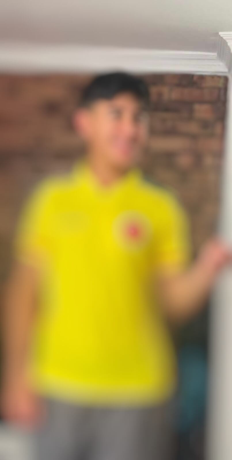 La madre de Santiago, Andrea Chaparro, relató con voz entrecortada la desesperación que sintió desde que su hijo, de tan solo 16 años, le llamó para pedir permiso y luego desapareció.