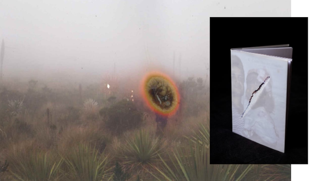 'El Caballero del Páramo' de Tatiana Aristizábal ya está disponible en preventa en la página oficial de Raya Editorial.