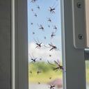 La menta es una opción excelente para quienes buscan un repelente que no sea tóxico.