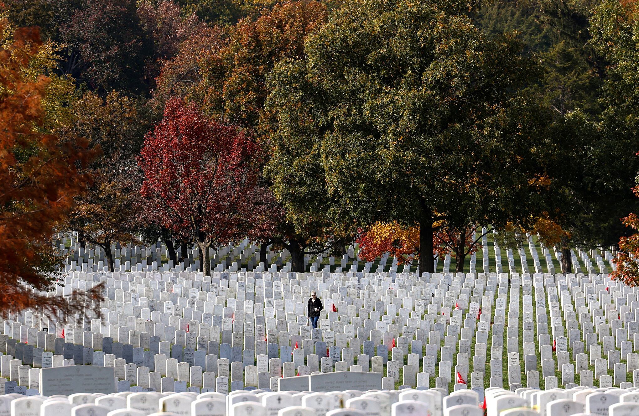 Fotos de la semana 12 nov