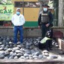 Tortugas hicoteas rescatadas por la Policía Ambiental
