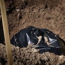 Encuentran cadáver frente al hospital de Meissen en Bogotá (imagen de referencia).